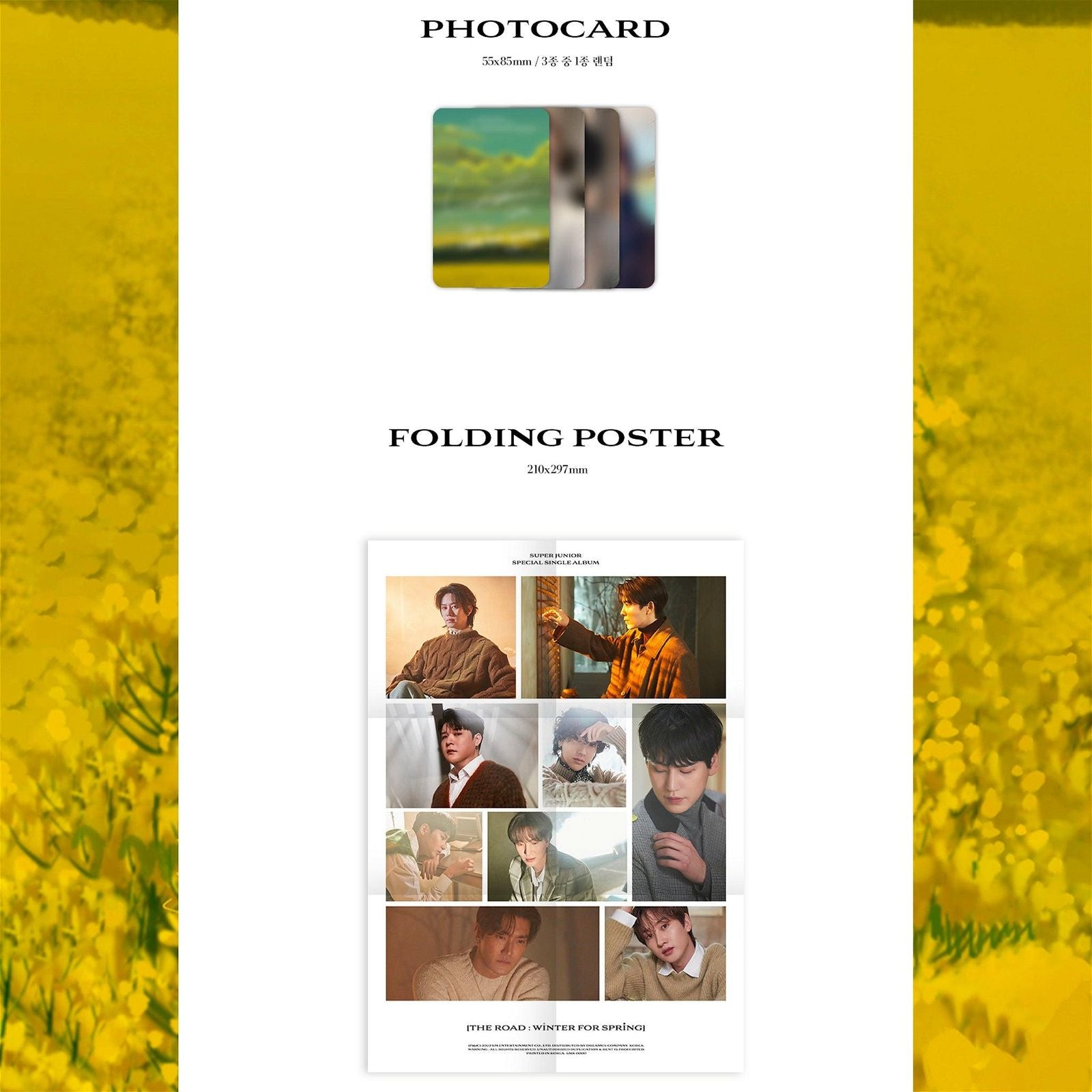 Super Junior - Special Single Album: The Road: Winter for Spring (Limited) - EmpressKorea