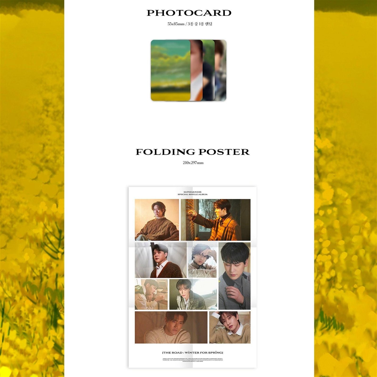 Super Junior - Special Single Album: The Road: Winter for Spring (Limited) - EmpressKorea