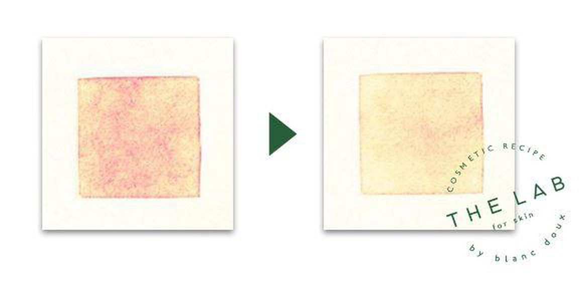 THE LAB by blanc doux Green Flavonoid 2.5 Pad 120g 90EA - EmpressKorea