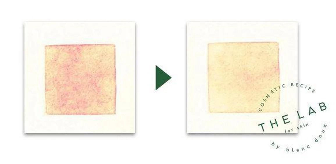 THE LAB by blanc doux Green Flavonoid 2.5 Pad 120g 90EA - EmpressKorea