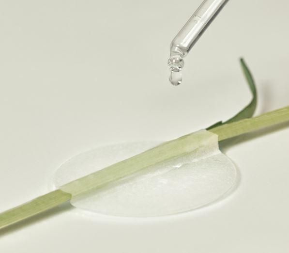 THE LAB by blanc doux Green Flavonoid 2.5 Pad 120g 90EA - EmpressKorea