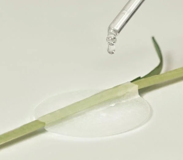 THE LAB by blanc doux Green Flavonoid 2.5 Pad 120g 90EA - EmpressKorea