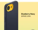 Blueberry Navy