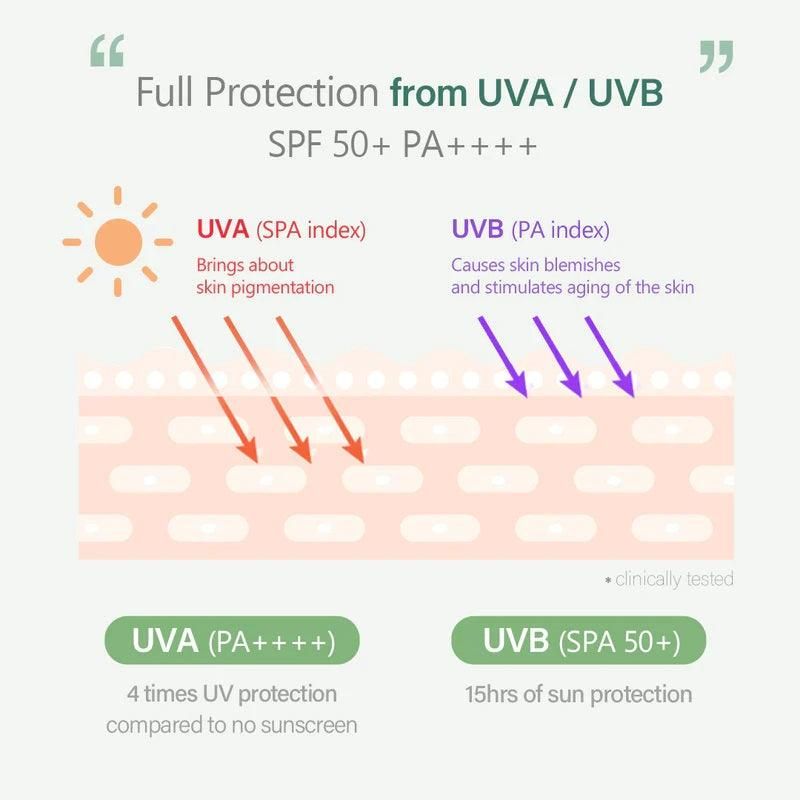 d'Alba Waterfull Mild Sun Cream SPF 50+ PA++++ 50ml - EmpressKorea