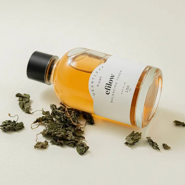 efilow Heartleaf Biome Balancing Toner 150ml - EmpressKorea