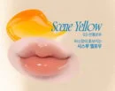 03 Scene Yellow