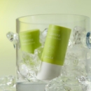 goodal Heartleaf Calming Cooling Sun Stick 19.5g x 2ea - EmpressKorea