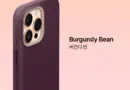 Burgundy Bean