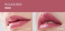 03.Pleasures