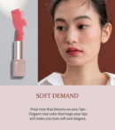 SOFT DEMAND