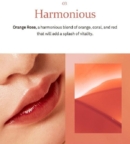 03 Harmonious