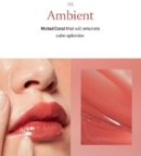 04 Ambient