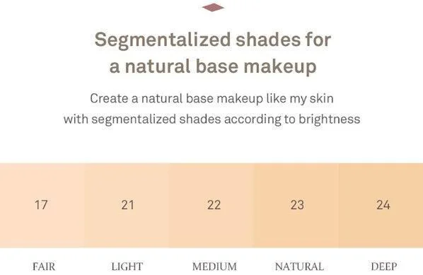 hince Second Skin Cover Concealer (5 Colors) 6.5g - EmpressKorea