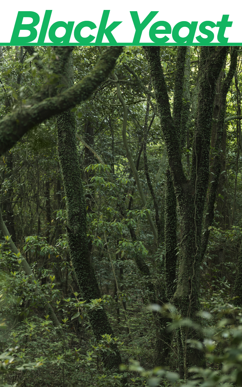 innisfree Forest for Men Pore Care All-in-One Essence 100mL - EmpressKorea