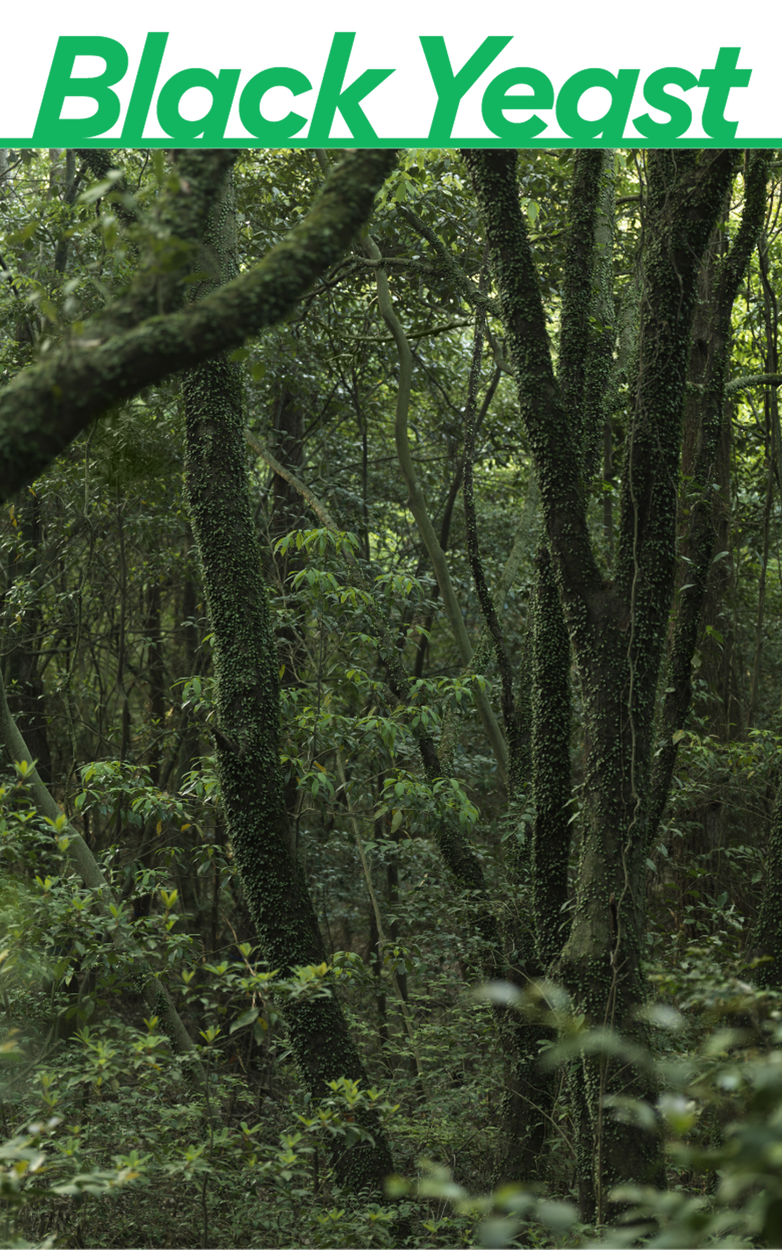 innisfree Forest for Men Shaving & Cleansing Foam 150g - EmpressKorea