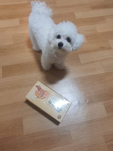 Customer review photo
