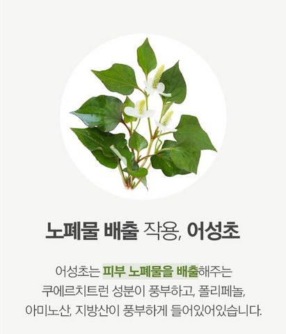 ONE THING HOUTTUYNIA CORDATA EXTRACT 300ml EmpressKorea *No. 1 Houttuynia cordata extract in Glowpick Trend Division *Safely ...