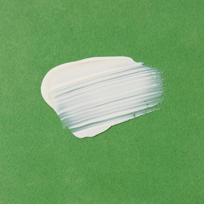 papa recipe Tea Tree Control Mild Sun Cream SPF 50+ PA++++ 50ml - EmpressKorea