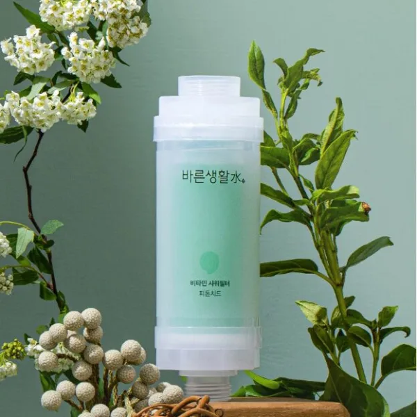 BAREUNSOO Rusty Water Chlorine Removal Vitamin Shower Filter