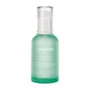 rataplan Water Parsley Calming Serum 50ml - EmpressKorea