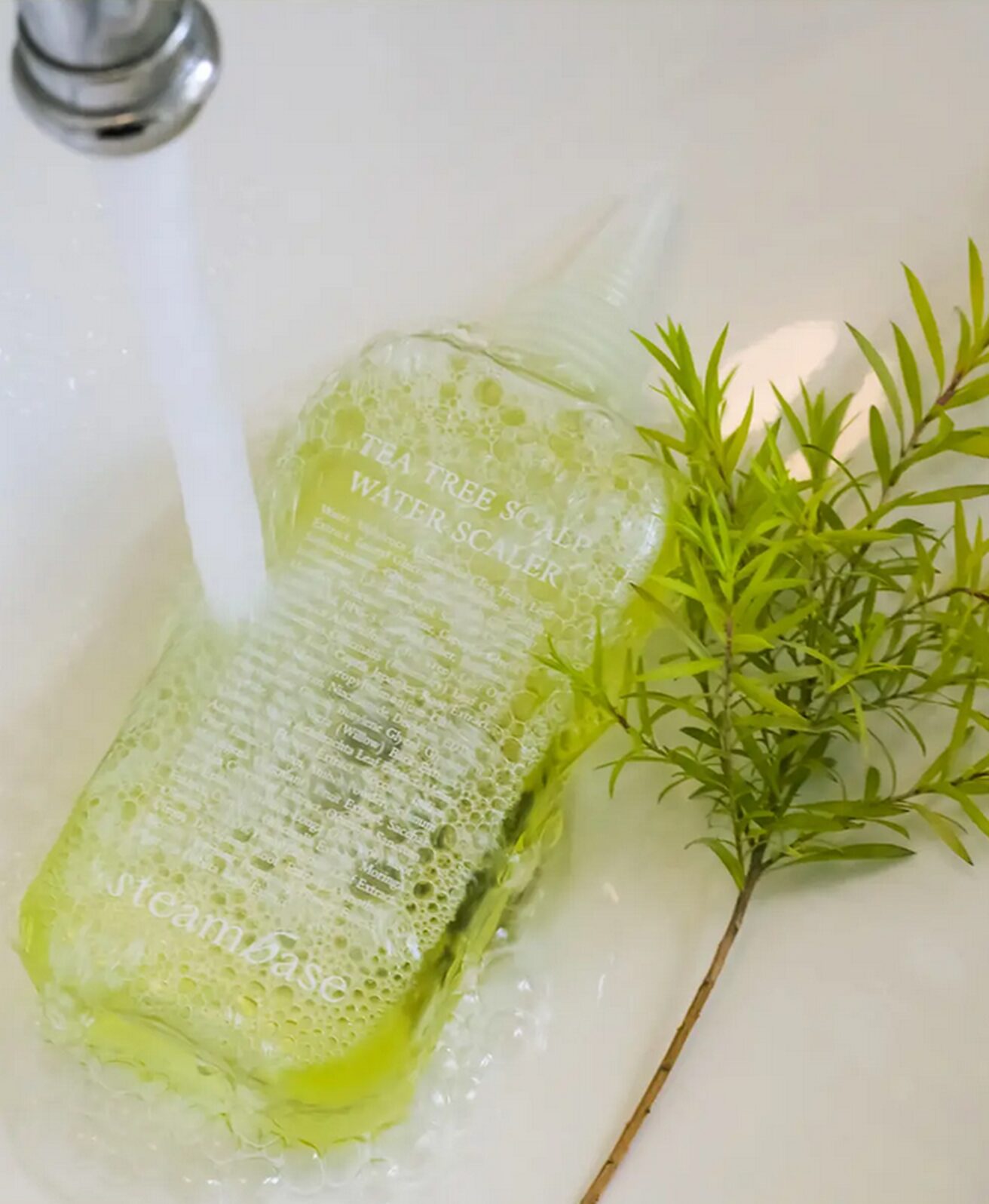 steambase Tea Tree Scalp Water Scaler 250ml Alleviates Hair Koss Symptoms - EmpressKorea