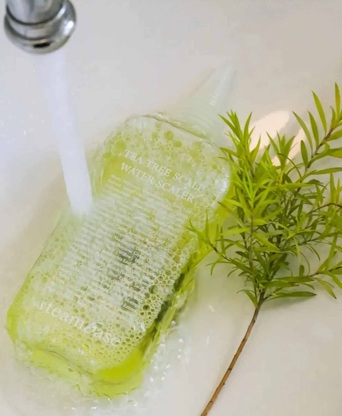 steambase Tea Tree Scalp Water Scaler 250ml Alleviates Hair Koss Symptoms - EmpressKorea