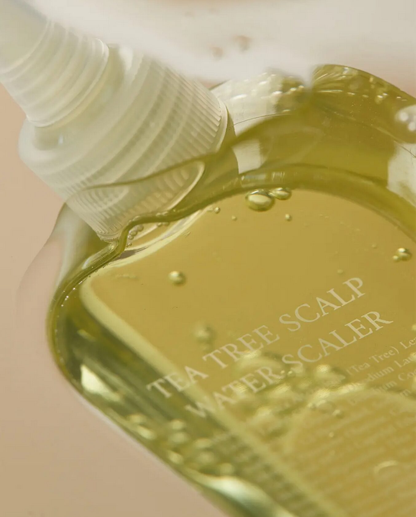 steambase Tea Tree Scalp Water Scaler 250ml Alleviates Hair Koss Symptoms - EmpressKorea