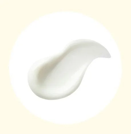 the SAEM Eco Earth Light Sun Cream SPF 50+ PA++++ 50g*2ea - EmpressKorea