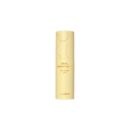 the SAEM Snail Essential EX Vita Solution Stick 12g - EmpressKorea
