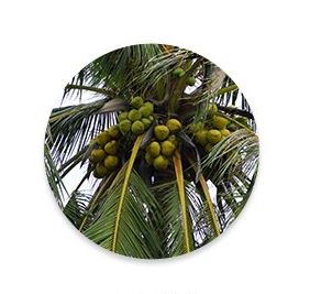 make p:rem SAFE ME RELIEF MOISTURE CLEANSING FOAM 150ml EmpressKorea Considering the skin and the environment A Better Choice...