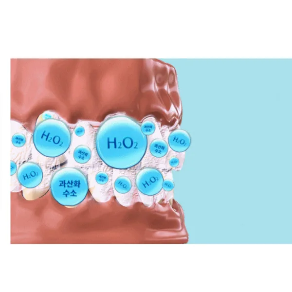 Liveorals Puredia Whitening Toothpaste 80g*2pack