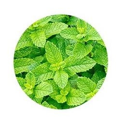 make p:rem SAFE ME RELIEF MOISTURE CLEANSING FOAM 150ml EmpressKorea Considering the skin and the environment A Better Choice...