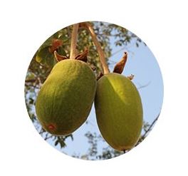 make p:rem SAFE ME RELIEF MOISTURE CLEANSING FOAM 150ml EmpressKorea Considering the skin and the environment A Better Choice...