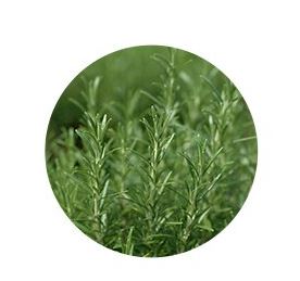 make p:rem SAFE ME RELIEF MOISTURE CLEANSING FOAM 150ml EmpressKorea Considering the skin and the environment A Better Choice...