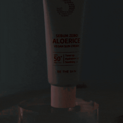 BE THE SKIN Sebum Zero Aloerice Vegan Sun Cream SPF 50+ PA++++ 50ml - EmpressKorea