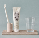 CANDIDE Seoul National University patented technology premium fluoride-free candide toothpaste galactose bad breath removal oral health children and pregnant women toothpaste 120g - EmpressKorea