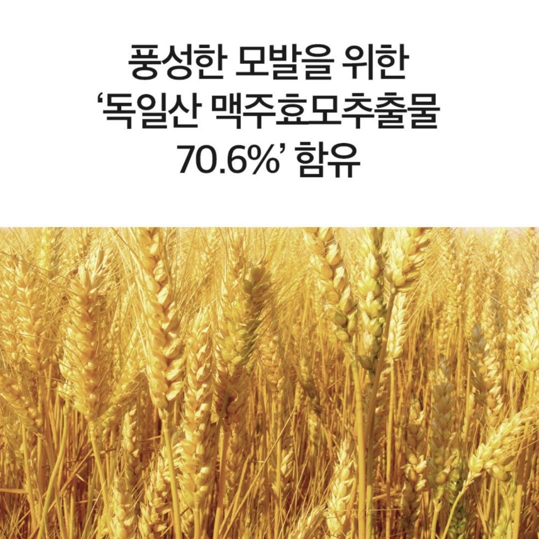 DERMA FACTORY Anti Hair Loss Repair Treatment 150g*2pcs Brewer's Yeast Protein Supply Caffeine Argan Kernel Oil Natural Active Ingredients Scalp Hair Care - EmpressKorea