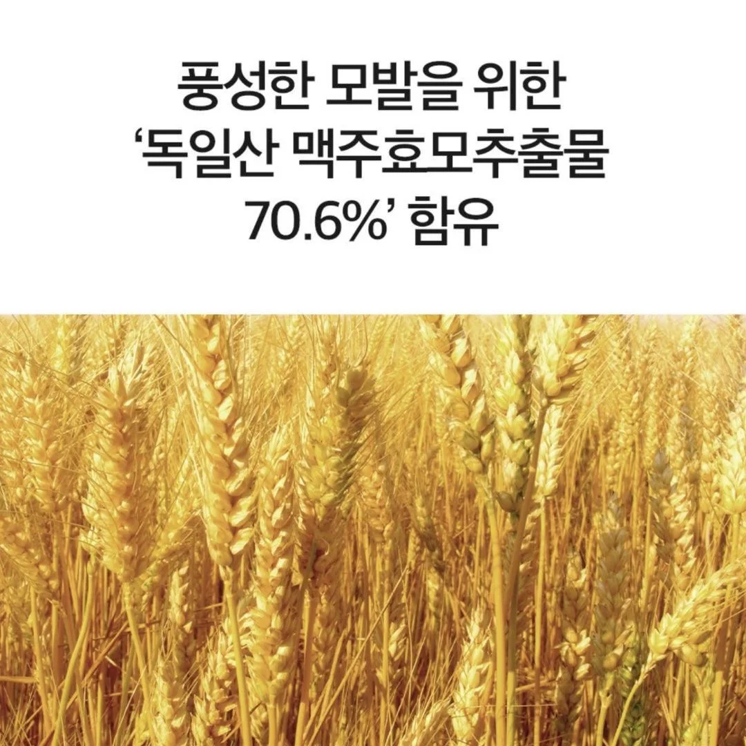 DERMA FACTORY Anti Hair Loss Repair Treatment 150g*2pcs Brewer's Yeast Protein Supply Caffeine Argan Kernel Oil Natural Active Ingredients Scalp Hair Care - EmpressKorea