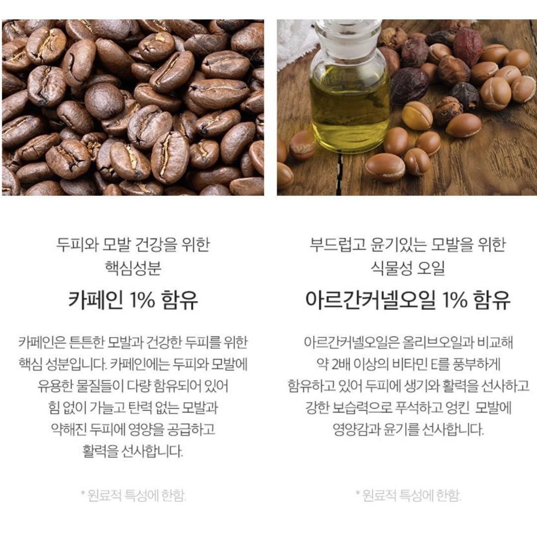 DERMA FACTORY Anti Hair Loss Repair Treatment 150g*2pcs Brewer's Yeast Protein Supply Caffeine Argan Kernel Oil Natural Active Ingredients Scalp Hair Care - EmpressKorea