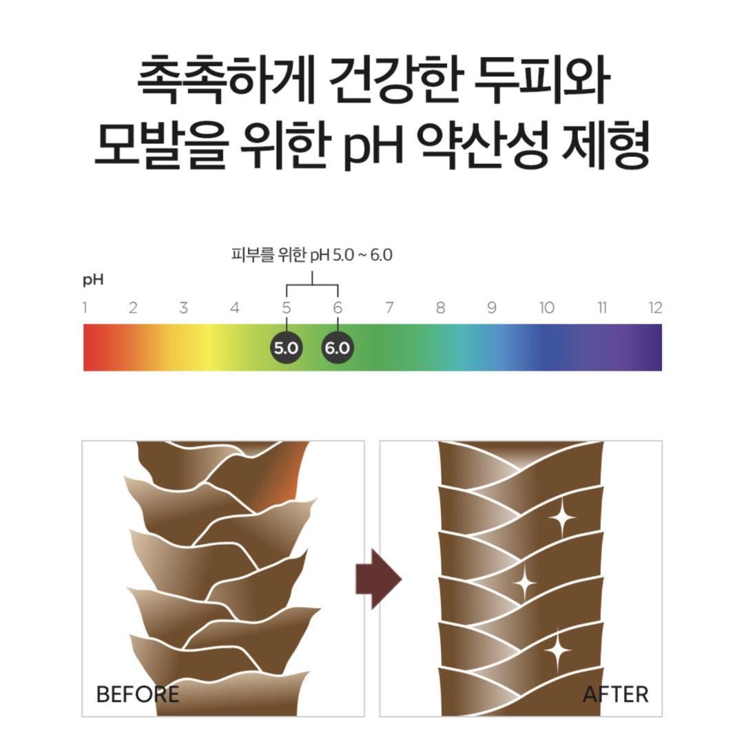 DERMA FACTORY Anti Hair Loss Repair Treatment 150g*2pcs Brewer's Yeast Protein Supply Caffeine Argan Kernel Oil Natural Active Ingredients Scalp Hair Care - EmpressKorea