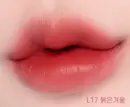 L17