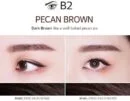 B2 PECAN BROWN