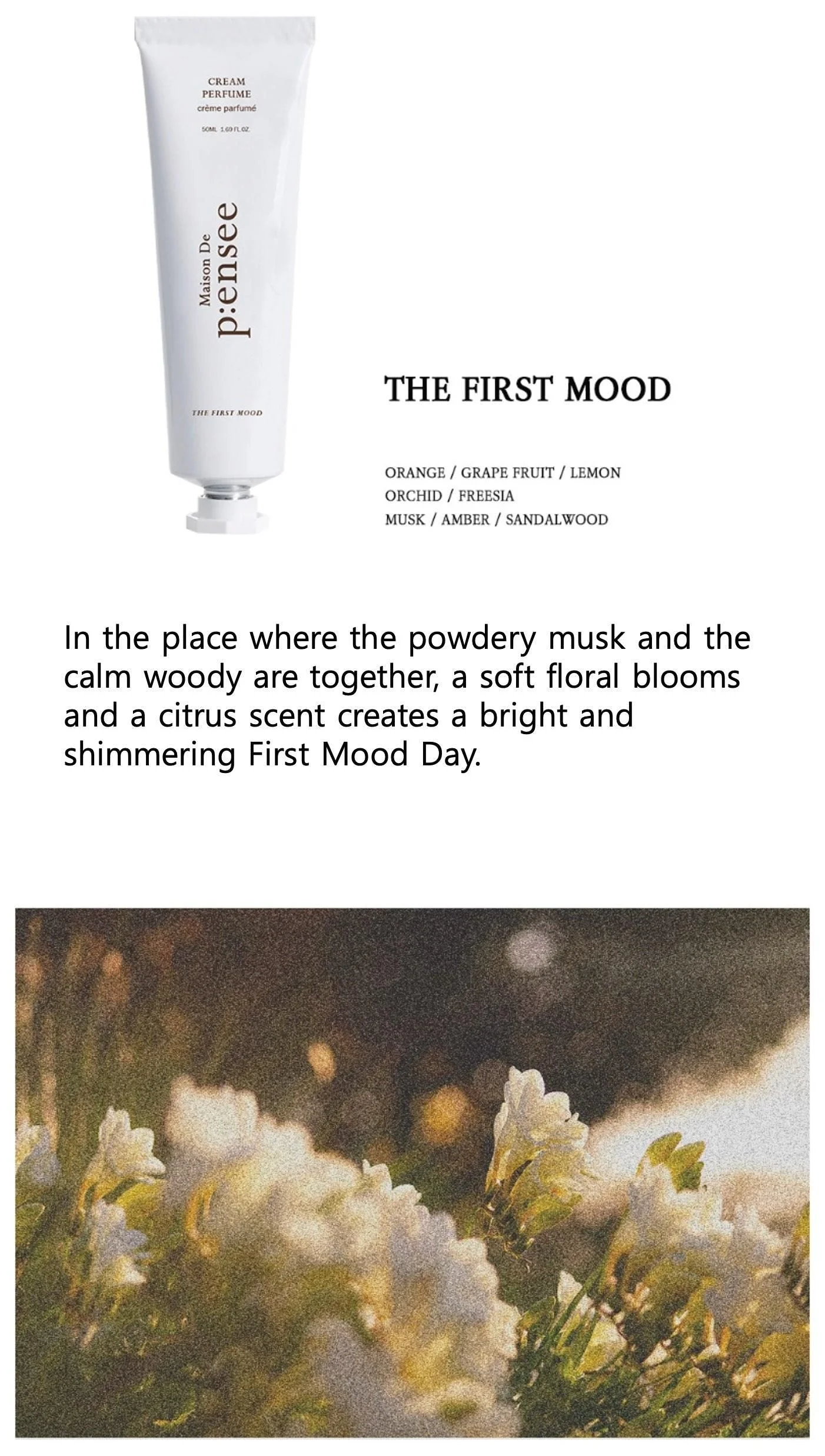Maison De Pensee Solid Perfume  50ml 3-Type  Adict Cream Perfume - EmpressKorea