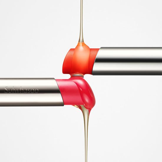 [NEW] Sulwhasoo Perfecting Lip Color 3g - EmpressKorea