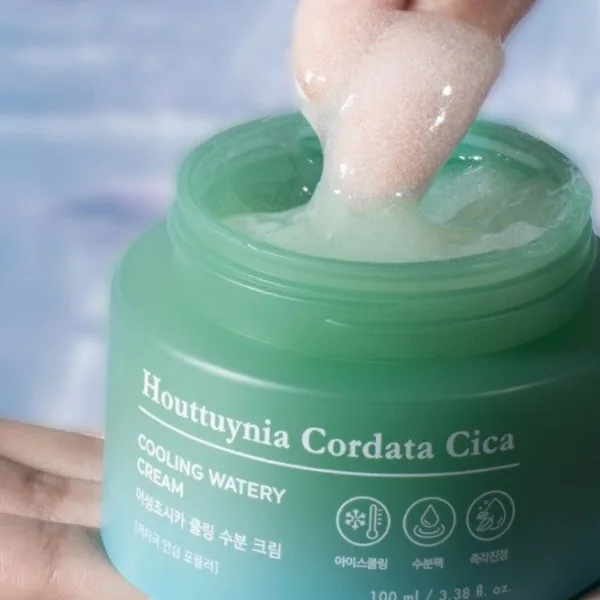 TONYMOLY Houttuynia Cordata Cica Cooling Moisture Cream 100ml - EmpressKorea