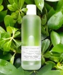 WONDER BATH Houttuynia Cordata Skin Soothing Serum 140ml - EmpressKorea