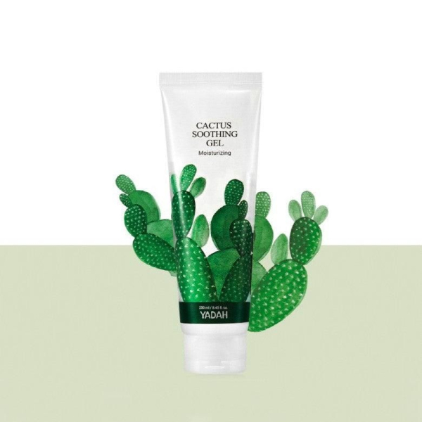 YADAH Cactus Soothing Gel 250ml - EmpressKorea