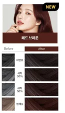 04.Red Brown