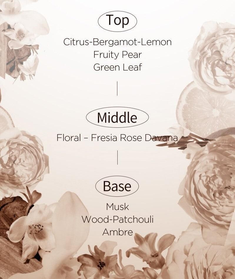 mise en scène Salon 10 No Wash Ampoule Treatment 200ml - EmpressKorea