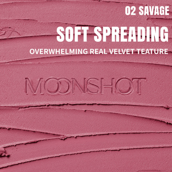 moonshot Performance Lip Blur Fixing Tint (9 Colors) 3.5g - EmpressKorea